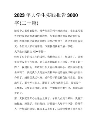 2023年大学生实践报告3000字(二十篇)