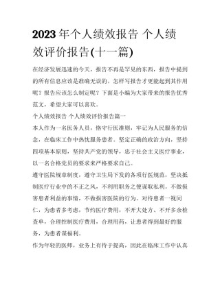 2023年个人绩效报告 个人绩效评价报告(十一篇)