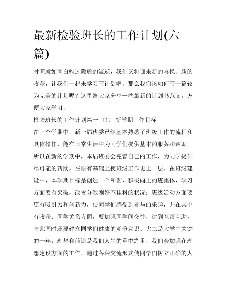 最新检验班长的工作计划(六篇)_第1页