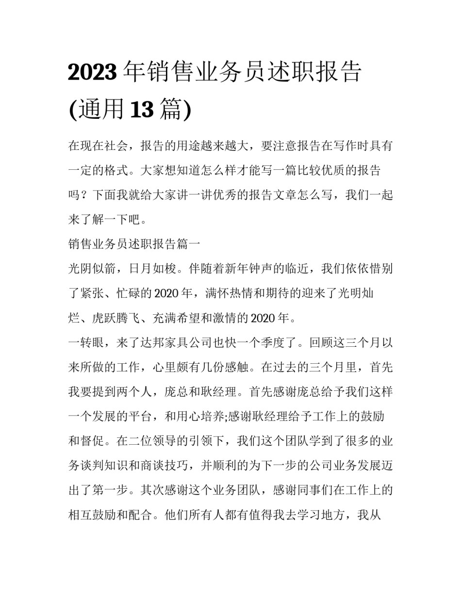 2023年销售业务员述职报告(通用13篇)_第1页