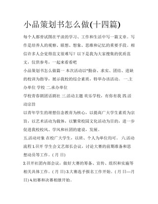 小品策划书怎么做(十四篇)