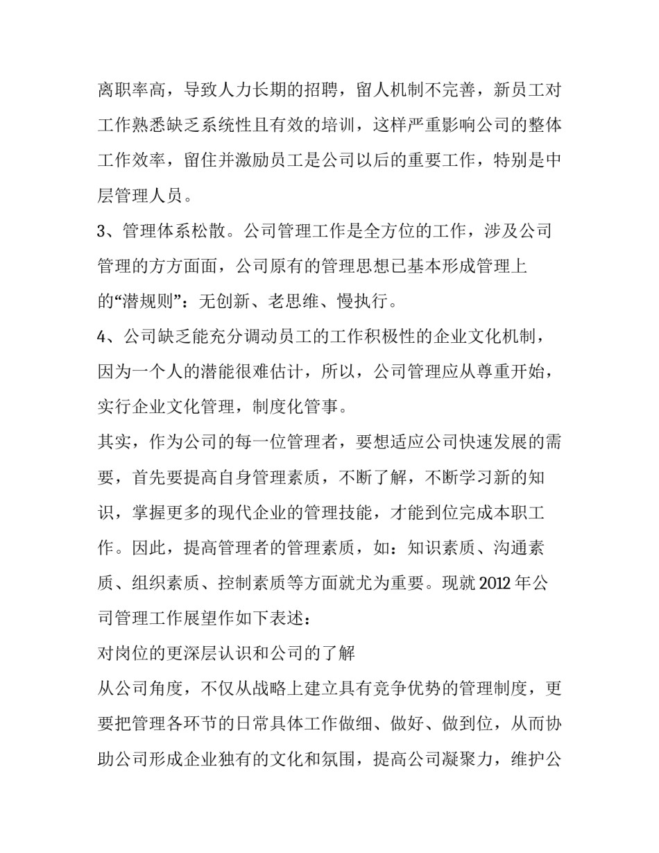 公司管理者工作述职报告范文_第3页