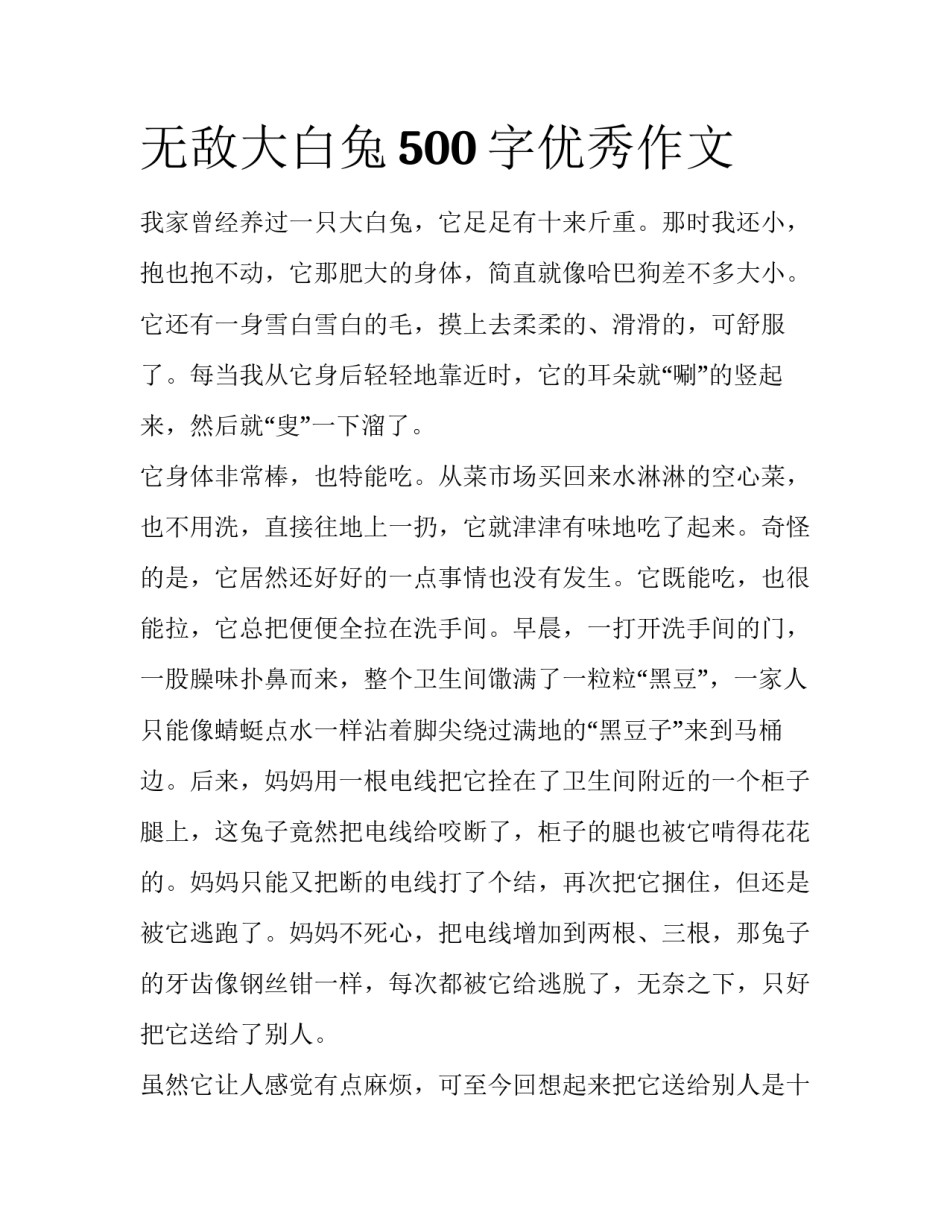 无敌大白兔500字优秀作文_第1页