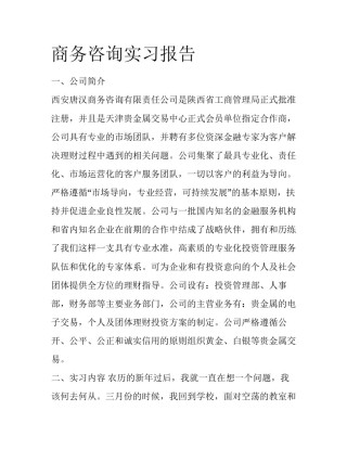 商务咨询实习报告