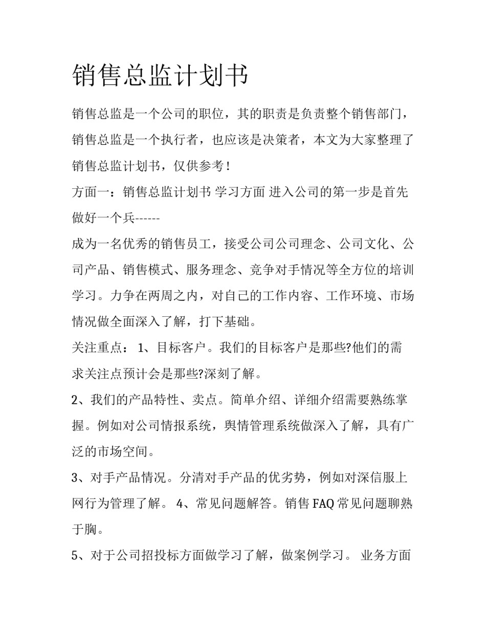 销售总监计划书_第1页