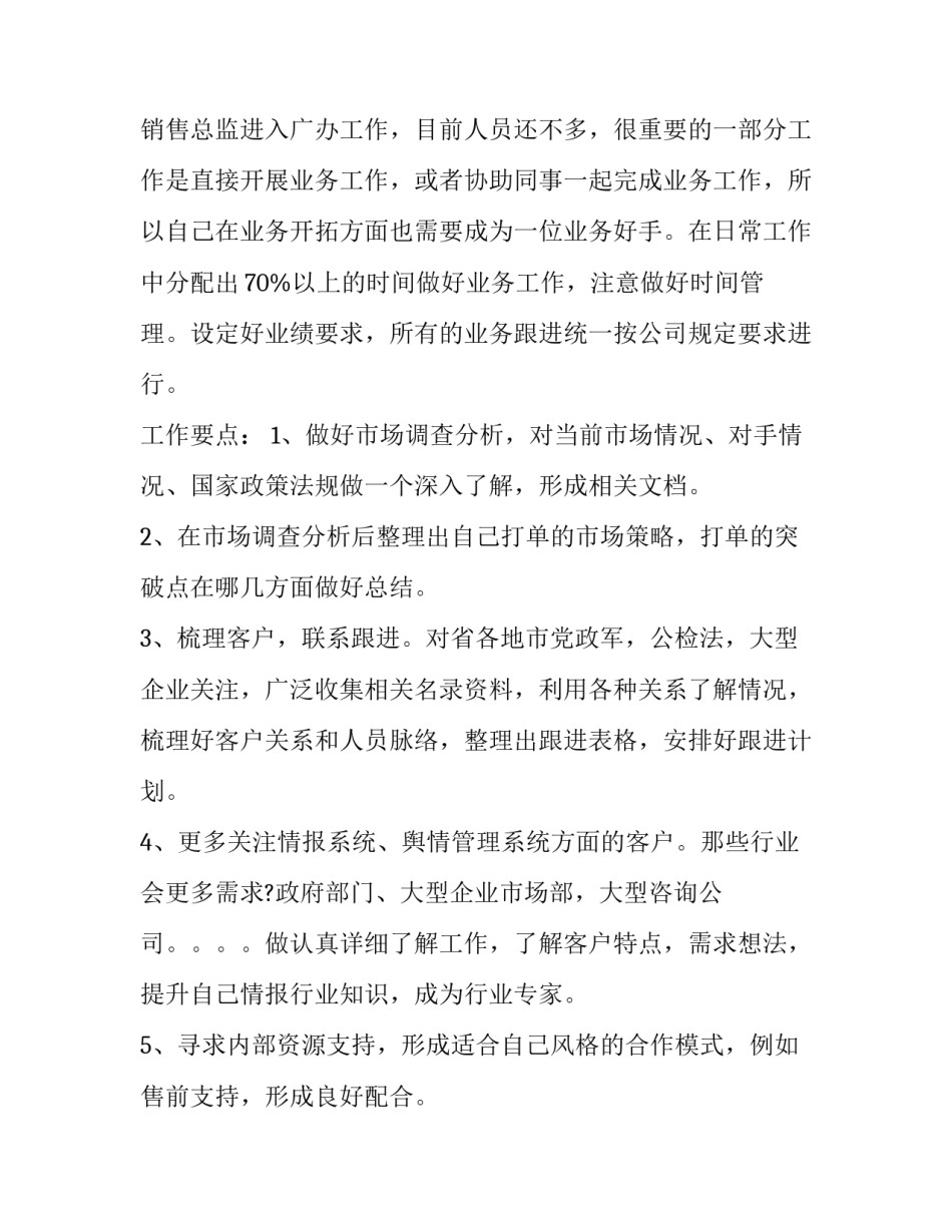 销售总监计划书_第2页