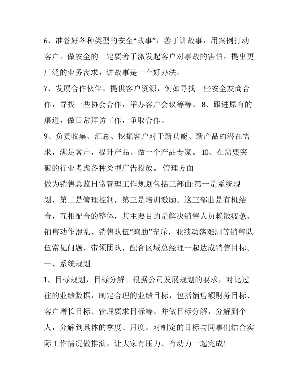 销售总监计划书_第3页