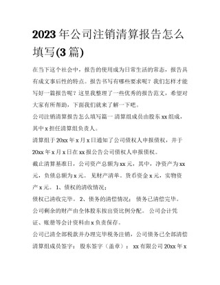 2023年公司注销清算报告怎么填写(3篇)
