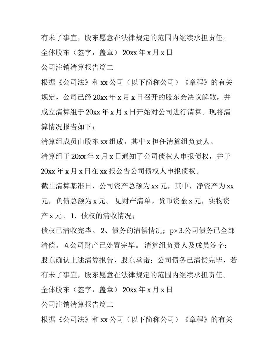 最新公司注销清算报告(3篇)_第2页