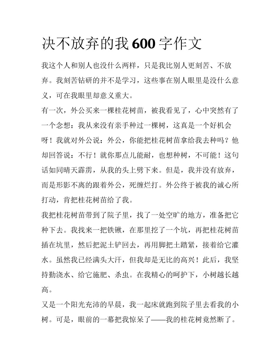 决不放弃的我600字作文_第1页
