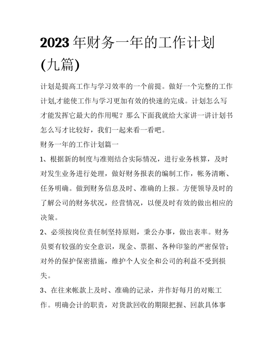 2023年财务一年的工作计划(九篇)_第1页