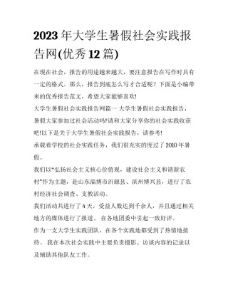 2023年大学生暑假社会实践报告网(优秀12篇)