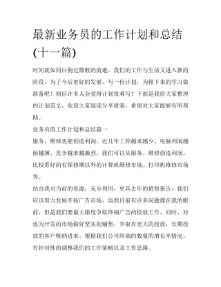 最新业务员的工作计划和总结(十一篇)