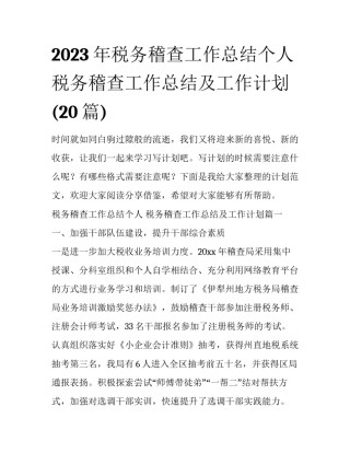 2023年税务稽查工作总结个人 税务稽查工作总结及工作计划(20篇)