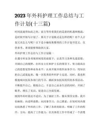 2023年外科护理工作总结与工作计划(十三篇)