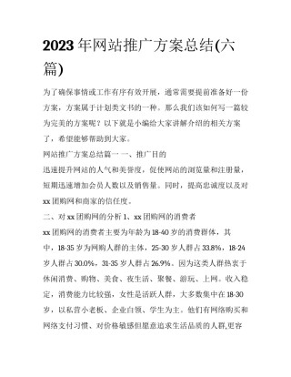 2023年网站推广方案总结(六篇)
