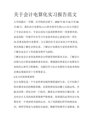 关于会计电算化实习报告范文