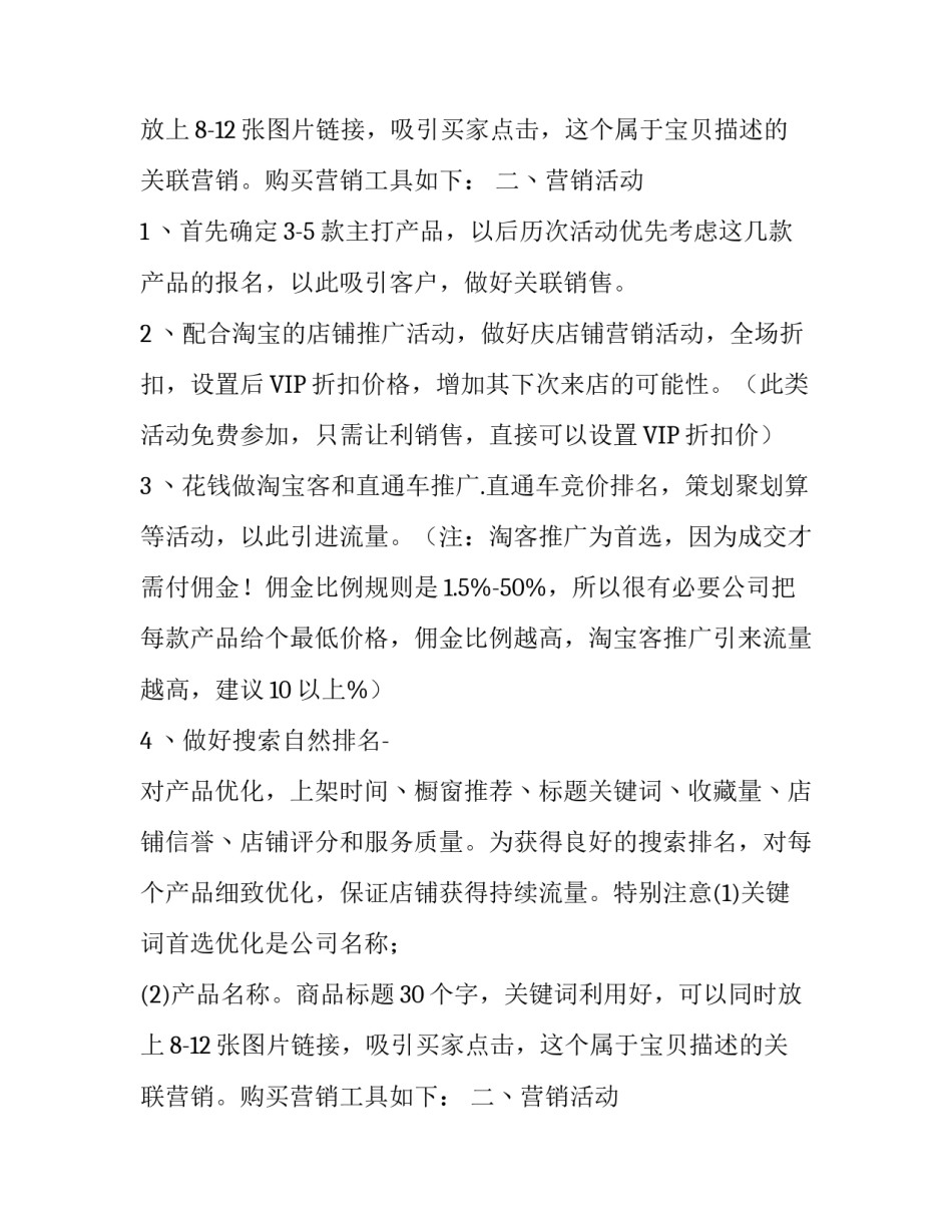淘宝运营计划书方案_第2页