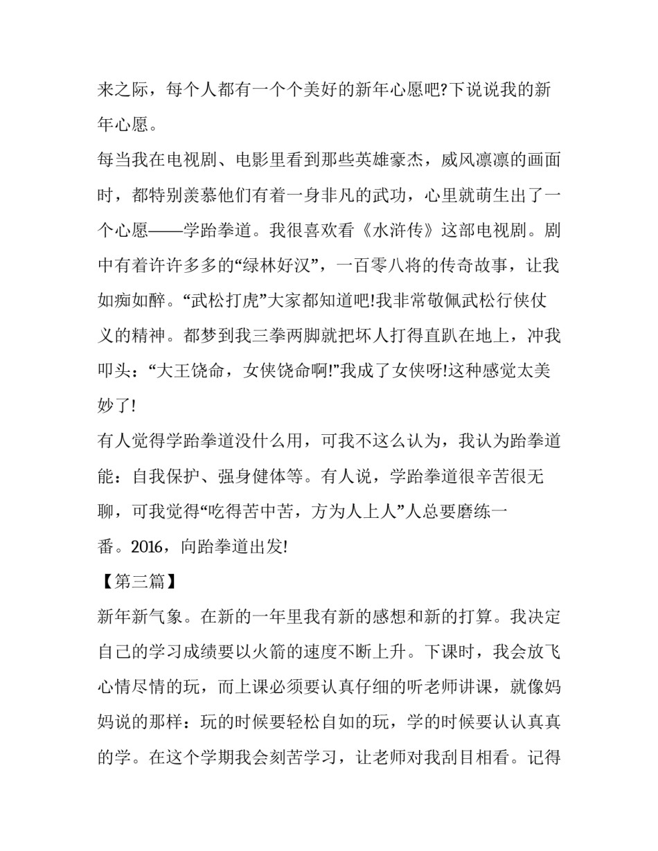我的新年计划作文300字【优秀】_第2页