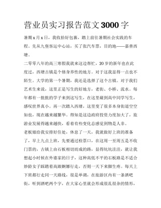 营业员实习报告范文3000字