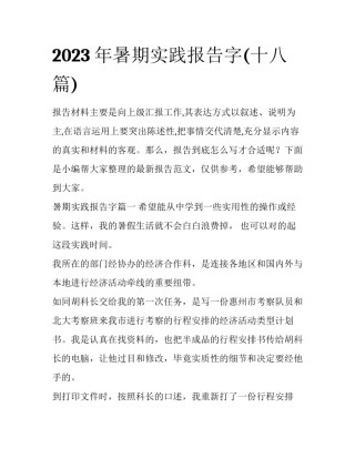 2023年暑期实践报告字(十八篇)