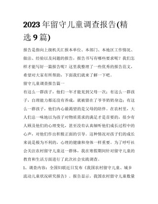 2023年留守儿童调查报告(精选9篇)