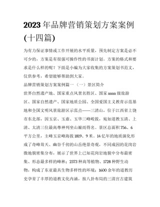 2023年品牌营销策划方案案例(十四篇)
