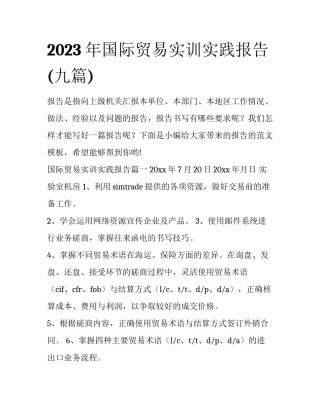 2023年国际贸易实训实践报告(九篇)