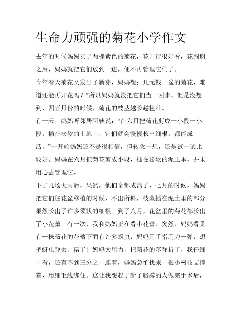 生命力顽强的菊花小学作文_第1页