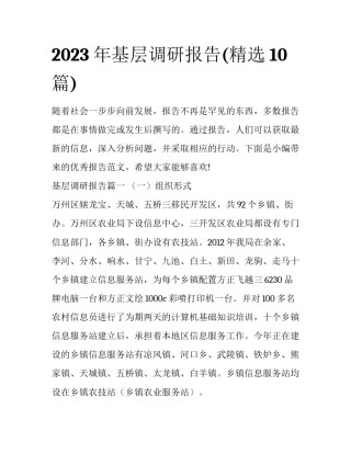2023年基层调研报告(精选10篇)