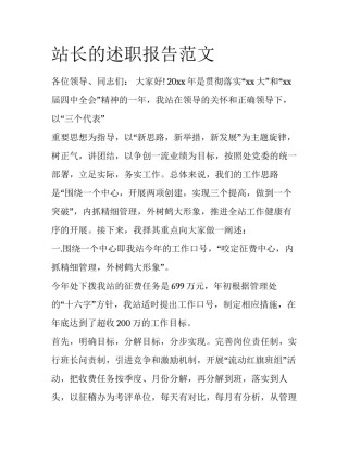 站长的述职报告范文