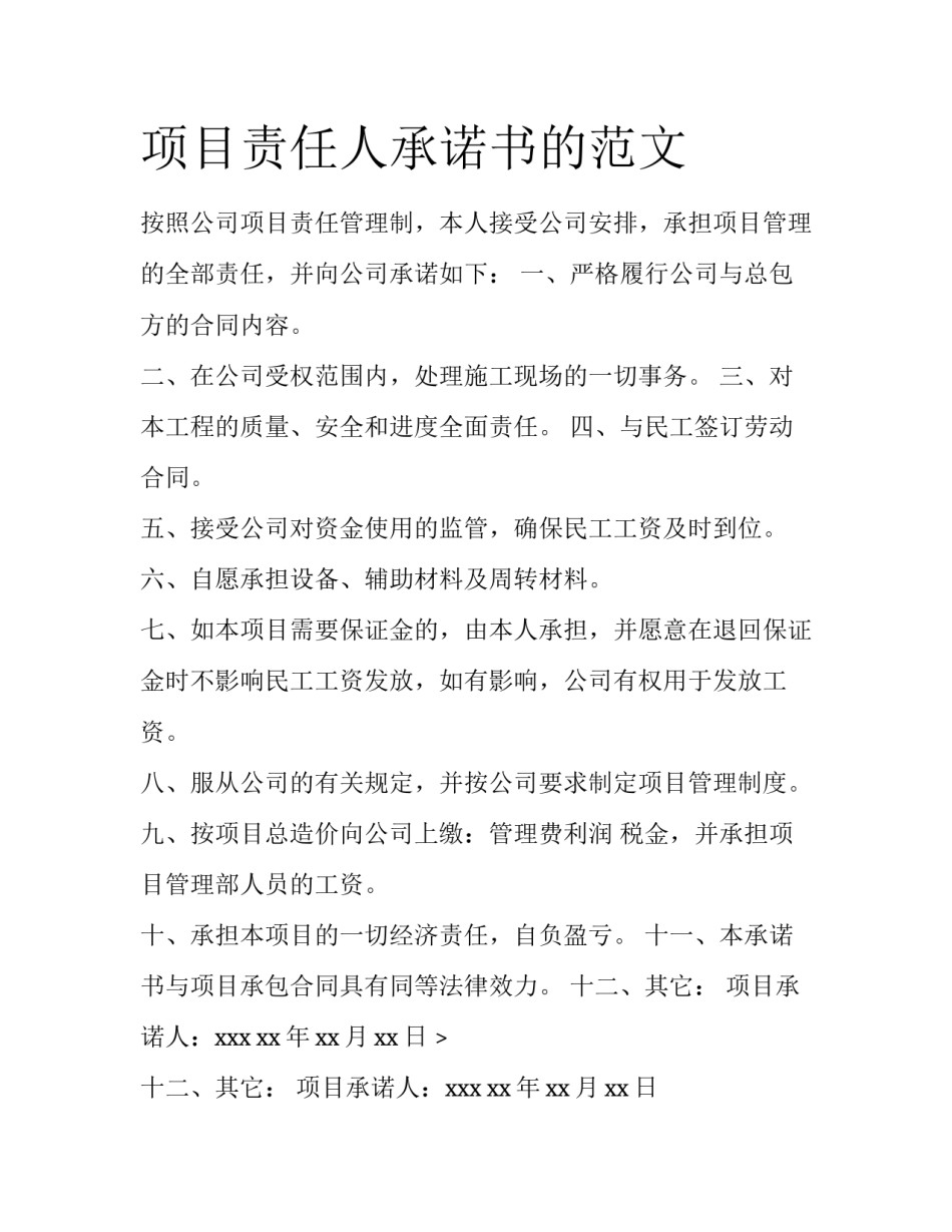 项目责任人承诺书的范文_第1页