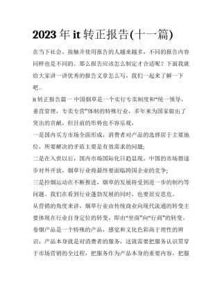 2023年it转正报告(十一篇)