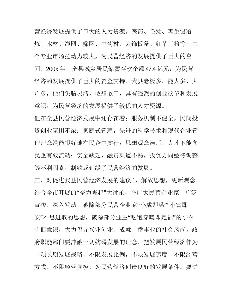 县民营经济发展情况的调查报告_第3页