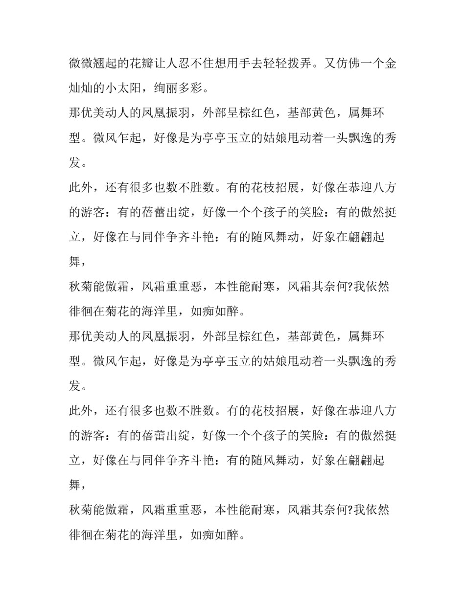别具一格的菊花作文_第2页