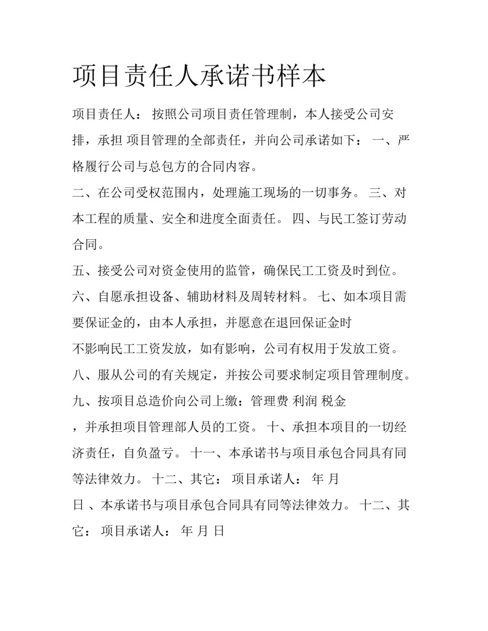 项目责任人承诺书样本_第1页