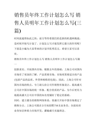 销售员年终工作计划怎么写 销售人员明年工作计划怎么写(三篇)