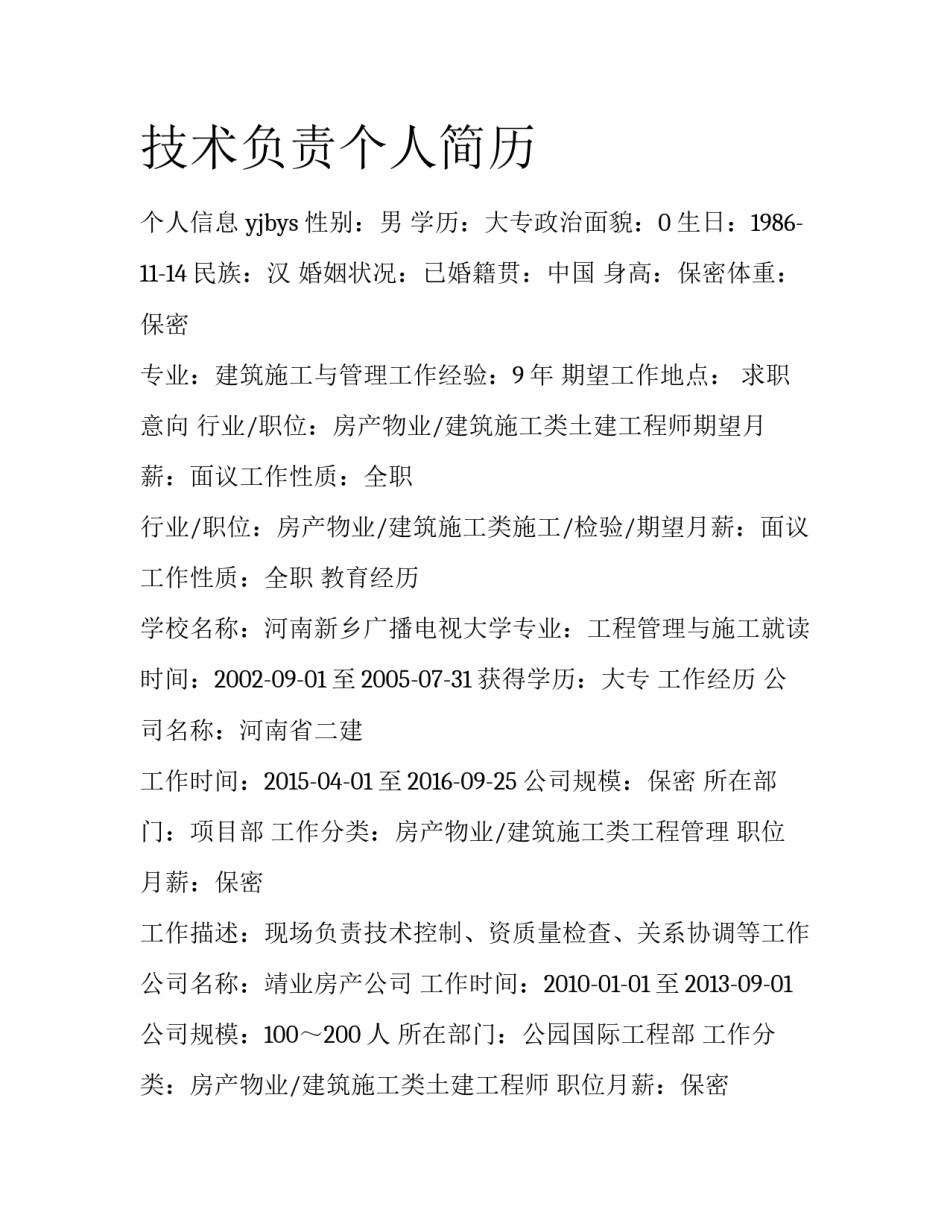 技术负责个人简历_第1页