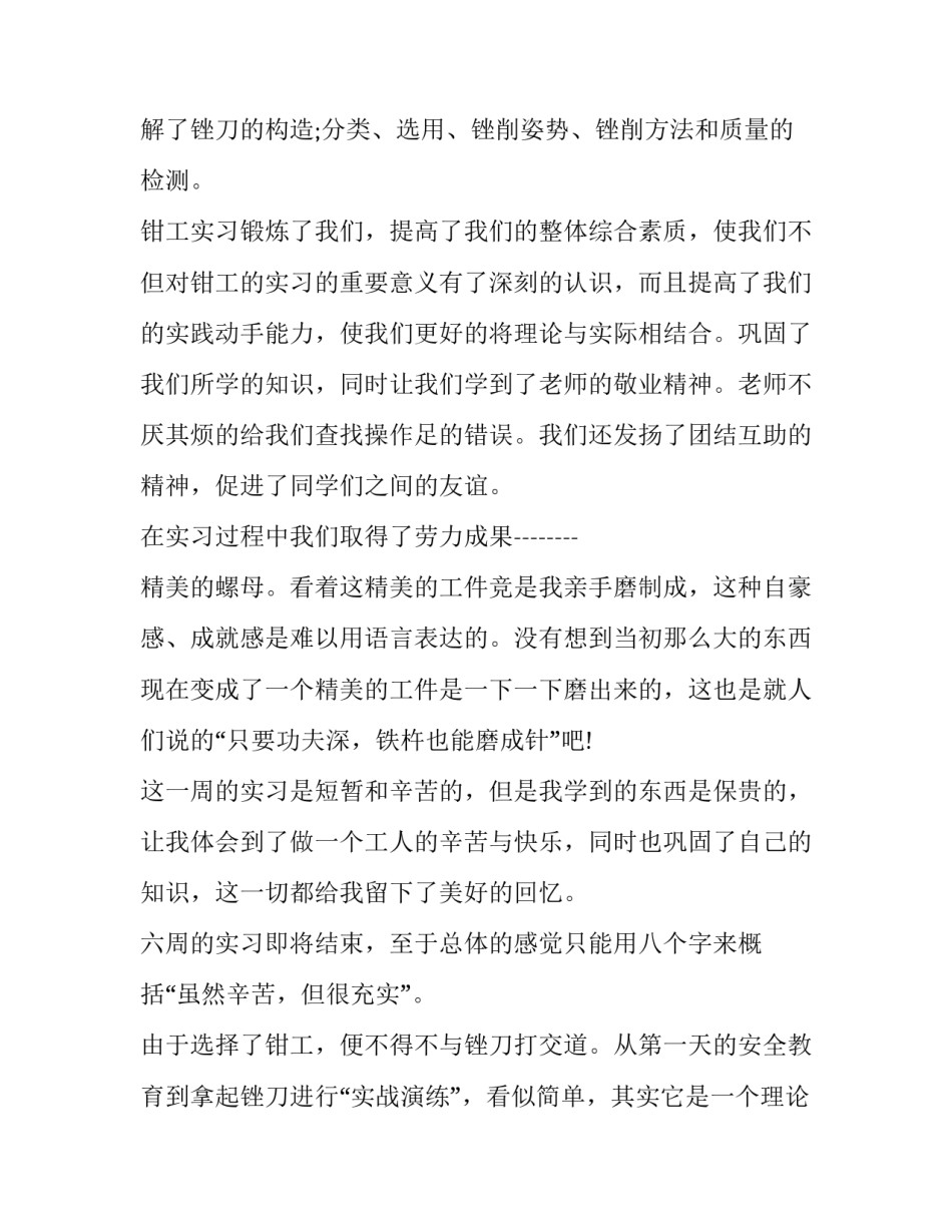 最新钳工实习报告范文_第3页
