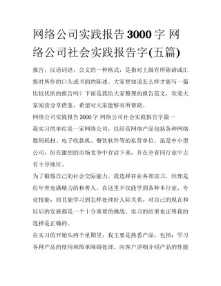 网络公司实践报告3000字 网络公司社会实践报告字(五篇)