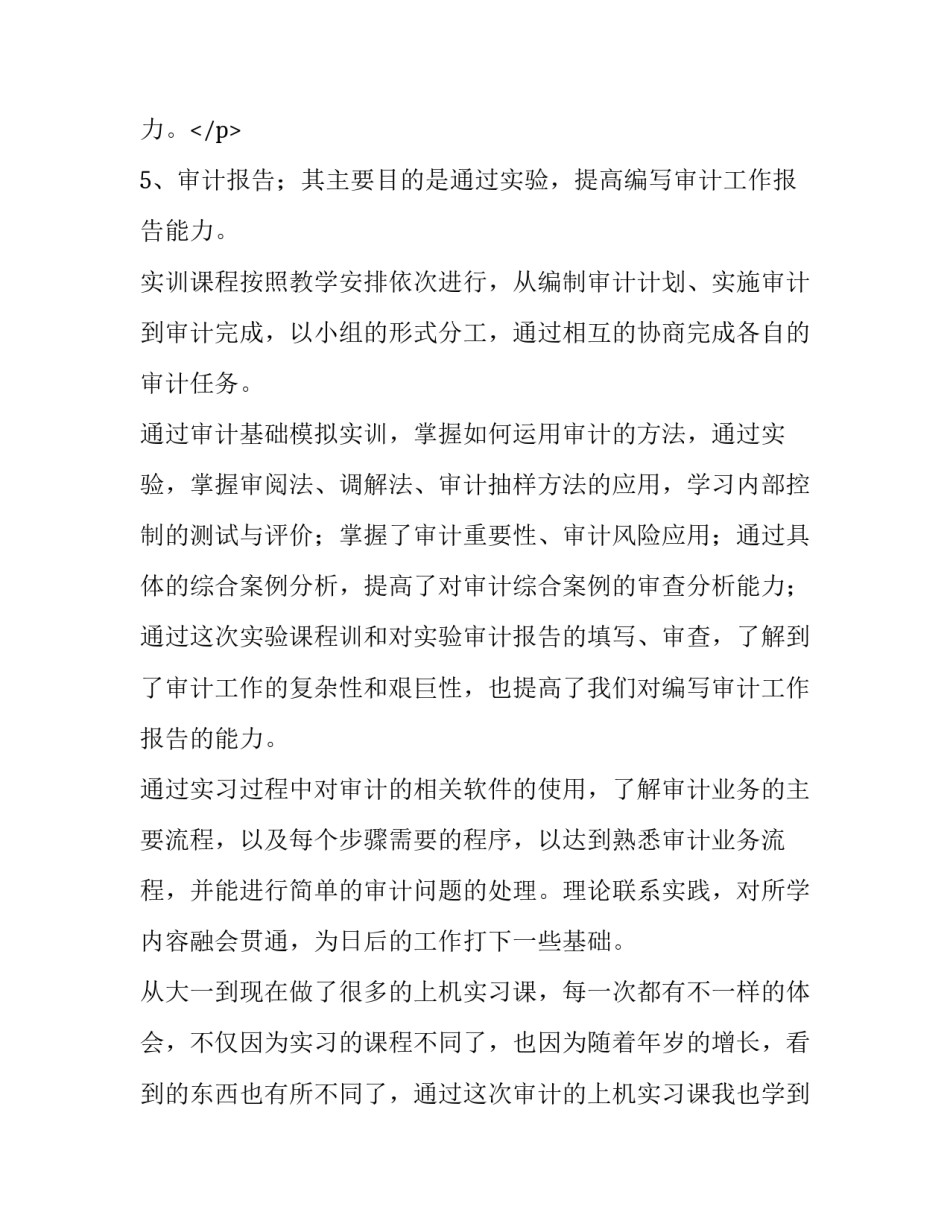 审计实训报告(通用14篇)_第3页