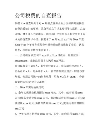 公司税费的自查报告