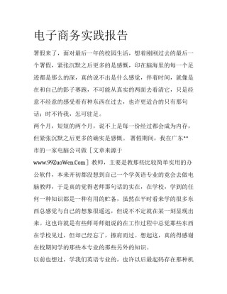 电子商务实践报告