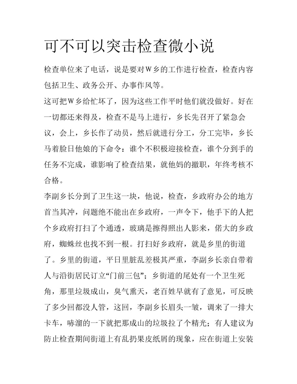 可不可以突击检查微小说_第1页