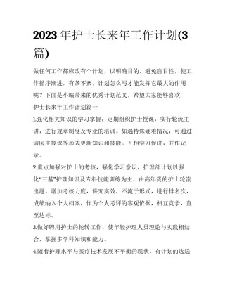 2023年护士长来年工作计划(3篇)