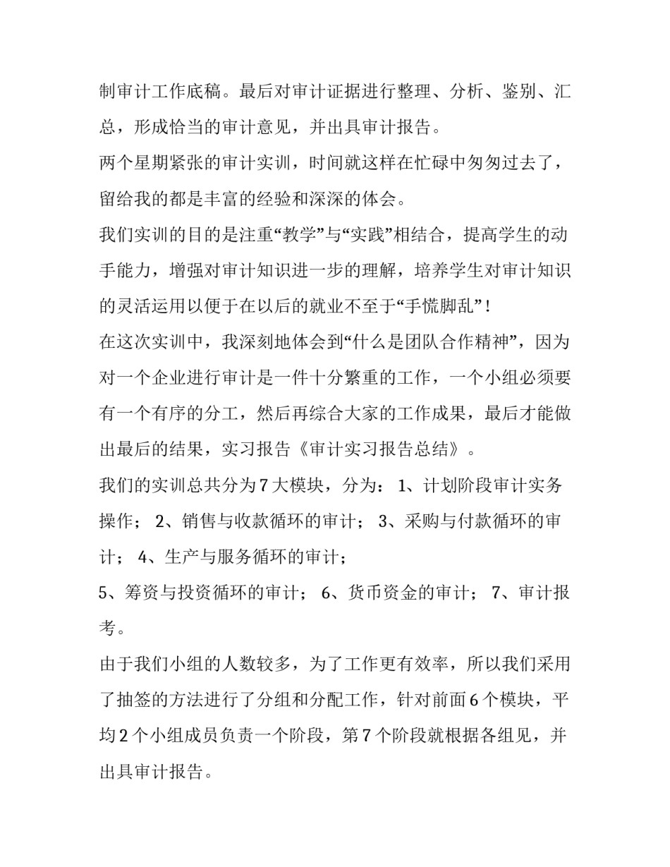 2023年审计实训报告结果(6篇)_第2页