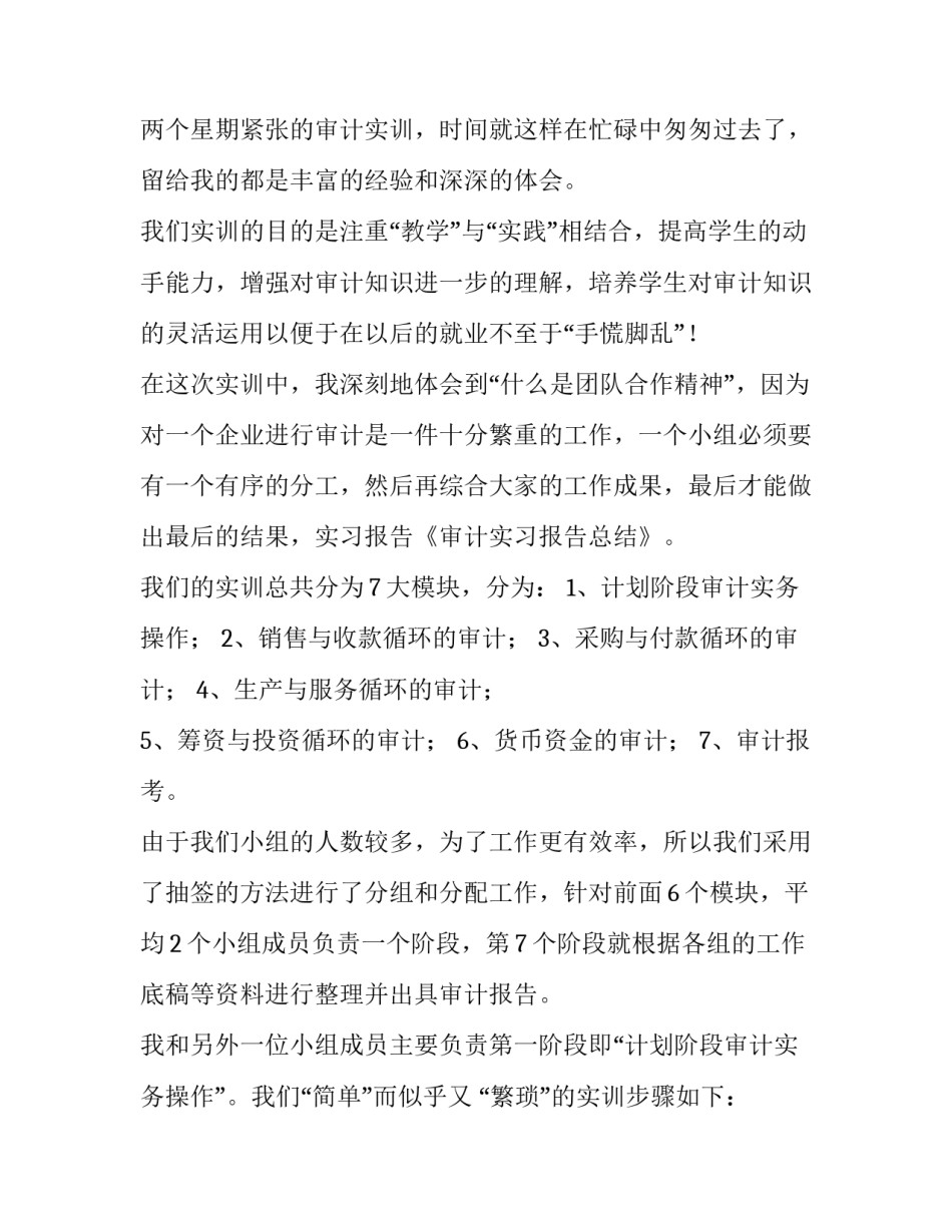 2023年审计实训报告结果(6篇)_第3页