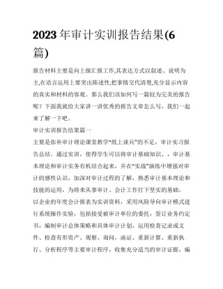 2023年审计实训报告结果(6篇)