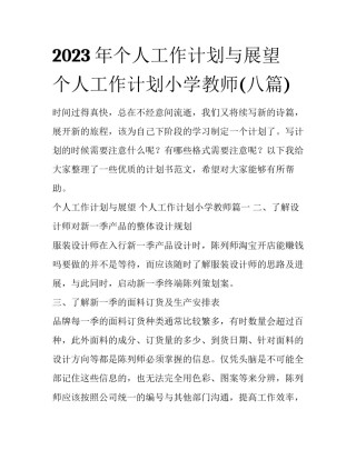 2023年个人工作计划与展望 个人工作计划小学教师(八篇)