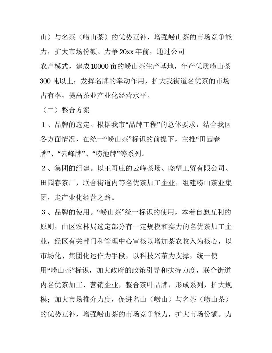 品牌整合实施方案_第2页